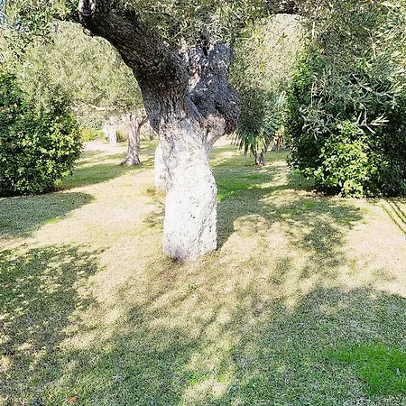 Отель Halkidiki Greek Pride San Giorgio *