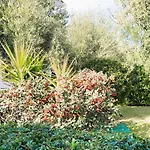 Hotel Halkidiki Greek Pride San Giorgio *