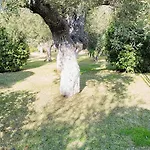 Hotel Halkidiki Greek Pride San Giorgio *