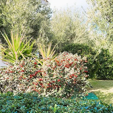 酒店 Halkidiki Greek Pride San Giorgio *