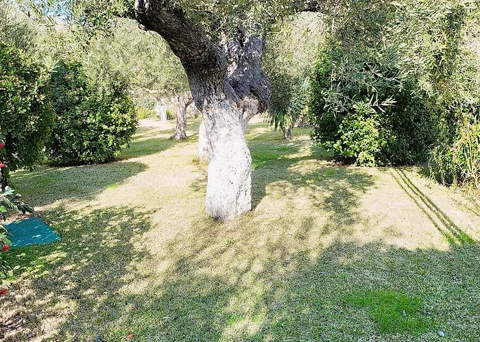 Hotel Halkidiki Greek Pride San Giorgio *